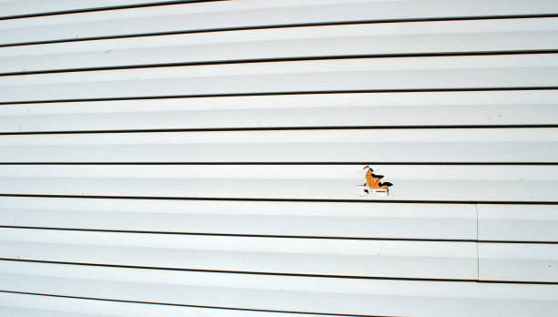 Best Storm Damage Siding Repair  in Spring Valley, WI
