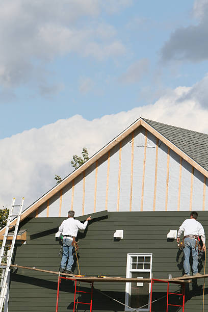 Best Steel Siding Installation  in Spring Valley, WI